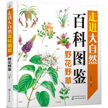 野花野草 [中小學生] pdf epub mobi 電子書 下載