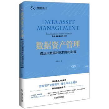 數據資産管理 盤活大數據時代的隱形財富 pdf epub mobi 電子書 下載
