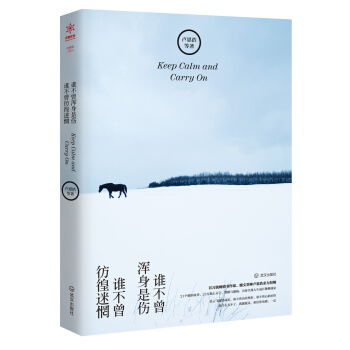 誰不曾渾身是傷，誰不曾彷徨迷惘 pdf epub mobi 電子書 下載