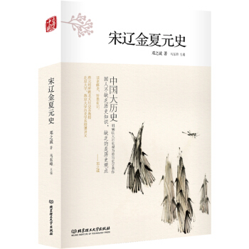 中國大曆史:宋遼金夏元史