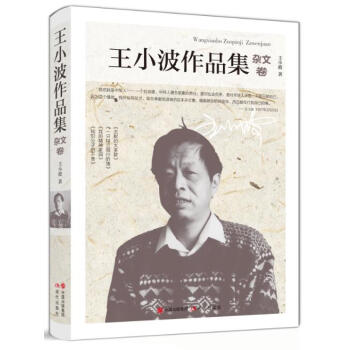 王小波作品集.杂文卷