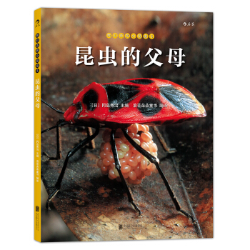 我们去找小昆虫5：昆虫的父母 [3-14岁] [こん虫のふしぎ 5：こん虫のおやこ] pdf epub mobi 电子书 下载