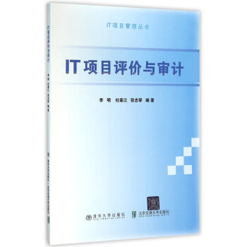 IT项目评价与审计 pdf epub mobi 电子书 下载
