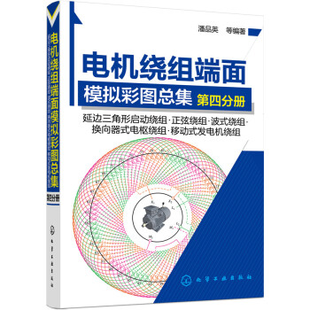 電機繞組端麵模擬彩圖總集.第四分冊