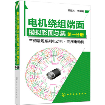 电机绕组端面模拟彩图总集·第一分册 pdf epub mobi 电子书 下载