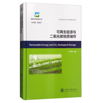 可再生能源與二氧化碳地質儲存 [Renewable Energy and CO2 Geological Storage] pdf epub mobi 電子書 下載
