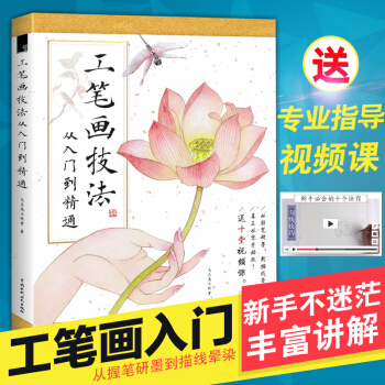 飞乐鸟 工笔画技法从入门到精通 工笔画教程书 国画初学者入门教材 自学工笔画 pdf epub mobi 电子书 下载