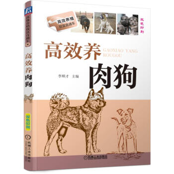 高效养肉狗 pdf epub mobi 电子书 下载