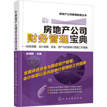 房地产公司财务管理宝典：财务预算、会计核算、资金、资产与内部审计管理工作指南 pdf epub mobi 电子书 下载