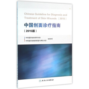 中國創麵診療指南（2015版） pdf epub mobi 電子書 下載