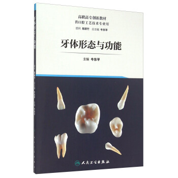 牙體形態與功能 pdf epub mobi 電子書 下載