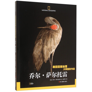 乔尔·萨尔托雷(美国国家地理大师摄影作品) pdf epub mobi 电子书 下载