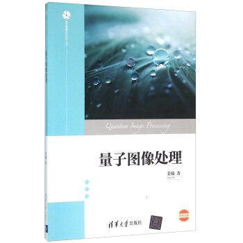 量子图像处理/电子信息前沿技术丛书 pdf epub mobi 电子书 下载