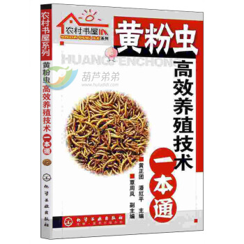 农村书屋系列/黄粉虫高效养殖技术一本通 pdf epub mobi 电子书 下载