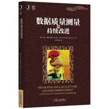 數據質量測量的持續改進 pdf epub mobi 電子書 下載