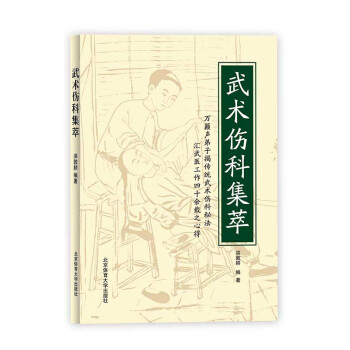 武術傷科集萃 pdf epub mobi 電子書 下載