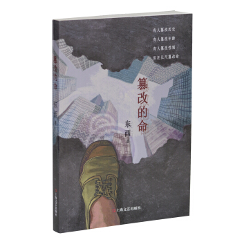 篡改的命 pdf epub mobi 电子书 下载