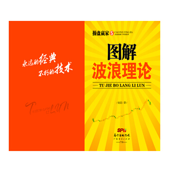 图解波浪理论 pdf epub mobi 电子书 下载