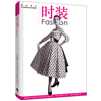 天天向上:时装速成读本 pdf epub mobi 电子书 下载