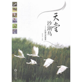 天堂沙湖鸟 沙湖鸟类鉴赏 pdf epub mobi 电子书 下载