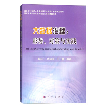 大数据治理：形势、对策与实践 [Big Data Governance:Situation,Strategy and Practice] pdf epub mobi 电子书 下载