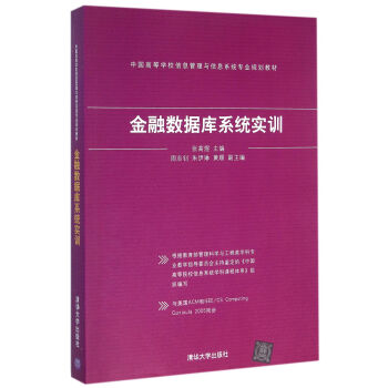 金融數據庫係統實訓 中國高等學校信息管理與信息係統專業規劃教材