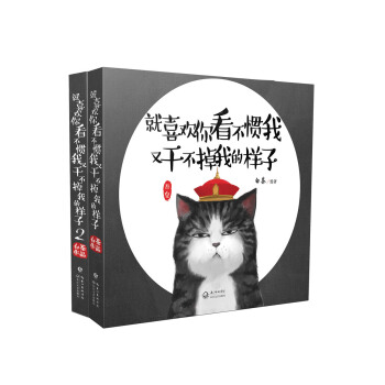 就喜欢你看不惯我又干不掉我的样子（京东套装共2册） pdf epub mobi 下载