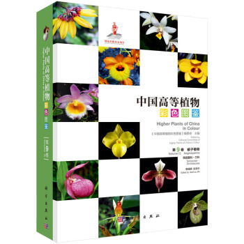 中國高等植物彩色圖鑒·第九捲：被子植物 蒟蒻薯科-蘭科 pdf epub mobi 電子書 下載