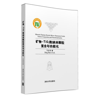 矿物-TiO2微纳米颗粒复合与功能化 pdf epub mobi 电子书 下载