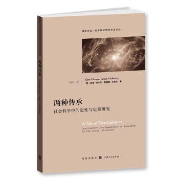 两种传承：社会科学中的定性与定量研究 pdf epub mobi 电子书 下载