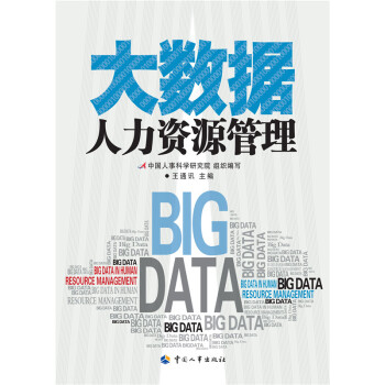 大数据人力资源管理 pdf epub mobi 电子书 下载