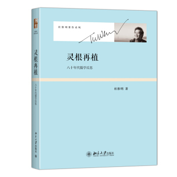 灵根再植 八十年代儒学反思 杜维明著作系列 pdf epub mobi 电子书 下载