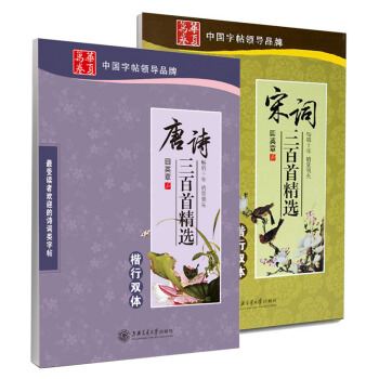 田英章楷书行书硬笔书法字帖 唐诗三百首精选+宋词三百首精选(行书楷书)2本 田英章钢笔字帖 pdf epub mobi 电子书 下载