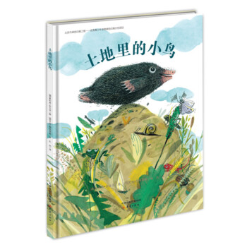 土地里的小鸟 pdf epub mobi 电子书 下载