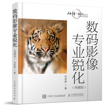 數碼影像專業銳化（典藏版） pdf epub mobi 電子書 下載