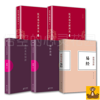 易经解读套装全5册 易经杂说+系传别讲（南怀瑾著）+傅佩荣译解易经+张其成全解周易上下册 pdf epub mobi 电子书 下载