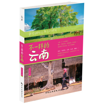 不一样的云南：那些被时光湮没的地方 pdf epub mobi 电子书 下载