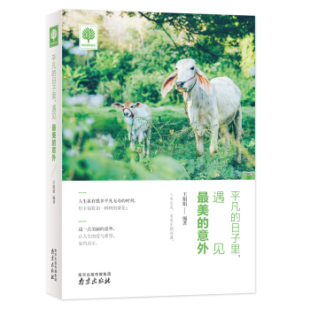平凡的日子里，遇见最美的意外 pdf epub mobi 电子书 下载