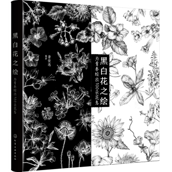 黑白花之绘——为青春绘出100朵花意 pdf epub mobi 电子书 下载