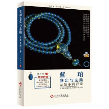 蓝珀鉴定与选购从新手到行家 pdf epub mobi 电子书 下载