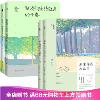 原来你还在这里 插图纪念版+致我们终将逝去的青春(插图纪念版上下)（共4册）辛夷坞 pdf epub mobi 电子书 下载