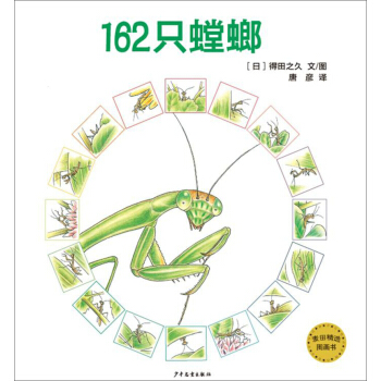 麦田精选图画书 162只螳螂 [2-8岁] pdf epub mobi 电子书 下载
