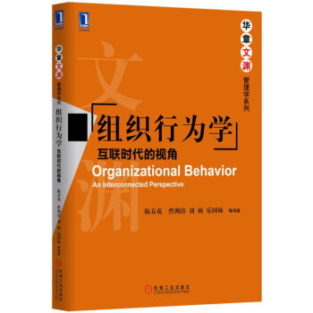 組織行為學：互聯時代的視角 pdf epub mobi 電子書 下載