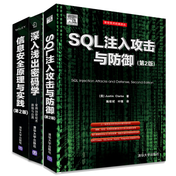 安全攻防入门 信息安全原理与实践 深入浅出密码学 SQL注入攻击与防御(第2版)（套装共3册） pdf epub mobi 电子书 下载