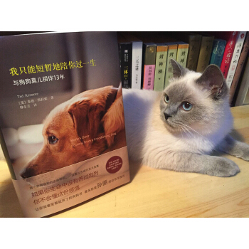 我隻能短暫地陪你過一生（孫儷感動作序推薦） pdf epub mobi 電子書 下載