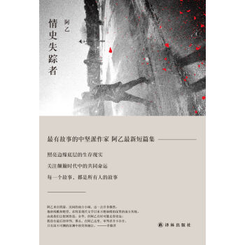 情史失踪者 pdf epub mobi 电子书 下载