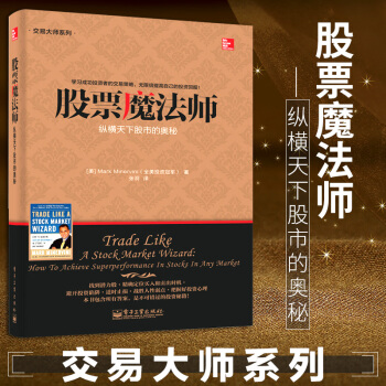 包邮 股票魔法师 纵横天下股市的奥秘 交易大师系列 马克.米勒维尼 证券股票 投资理财书 pdf epub mobi 电子书 下载