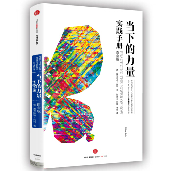 当下的力量实践手册（白金版） [Practicing the Power of Now] pdf epub mobi 电子书 下载