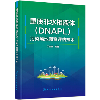重质非水相液体（DNAPL）污染场地调查评估技术 pdf epub mobi 电子书 下载