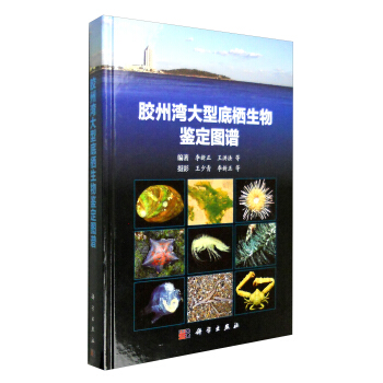 胶州湾大型底栖生物鉴定图谱 pdf epub mobi 电子书 下载